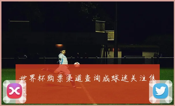世界杯购票渠道查询成球迷关注焦点