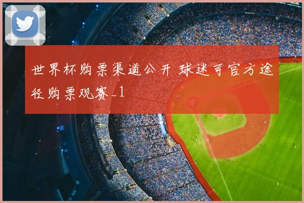 世界杯购票渠道公开 球迷可官方途径购票观赛_1