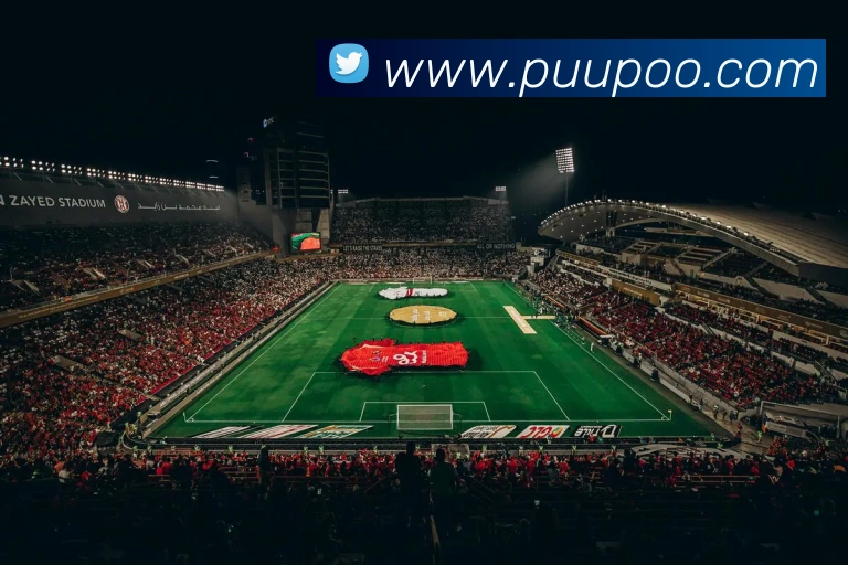 华体在线登录入口APP 封面图